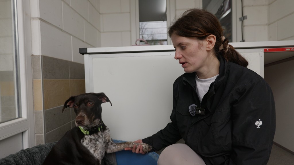 Foto: Frau mit Hund im Tierheim Bertha Bruch